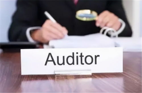 互联网电子商务企业应对财报审计风险的建议